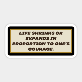 Life Shrinks Sticker